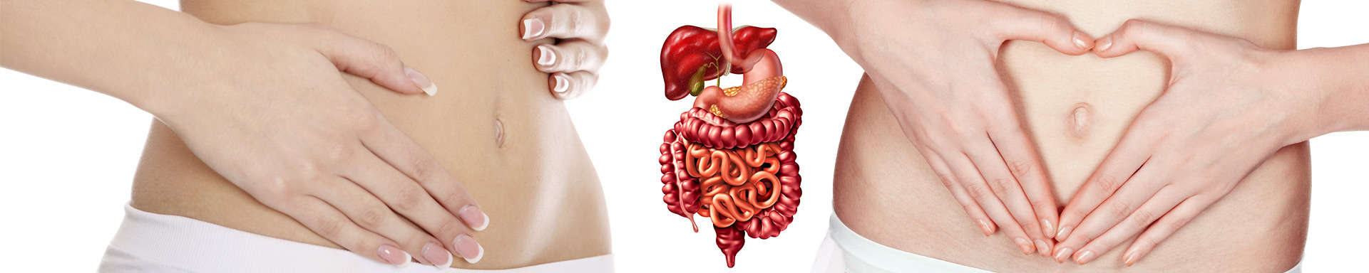 Digestion
